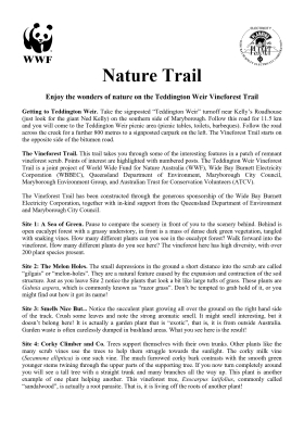 Brochure - Teddington Weir Vineforest Trail