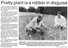 Pretty plant is a robber in disguise (Media article, Toowoomba Chronicle)
