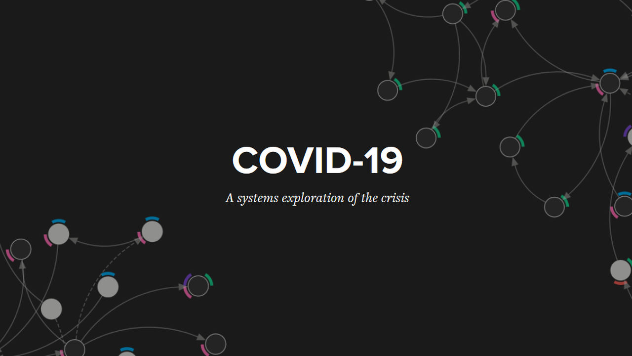 A systems exploration of the COVID-19 crisis
