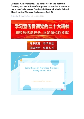 My participation in a Model United Nations (MUN) activity (English version)